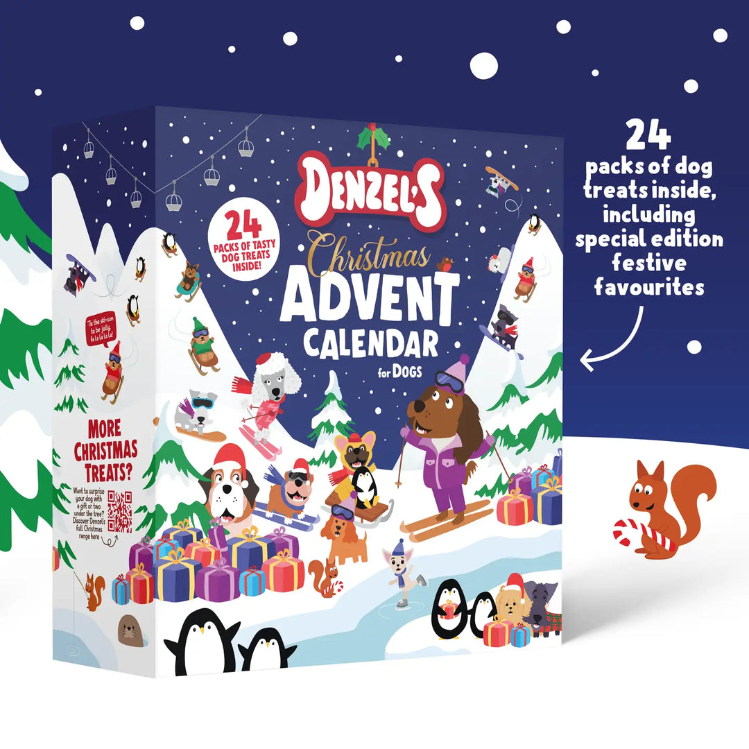 Christmas Advent Calendar For Dogs