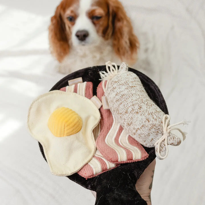 Breakfast Set //Enrichment Dog Toy