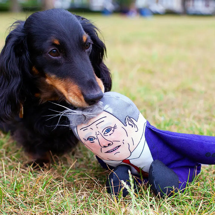 Keir Dog Toy