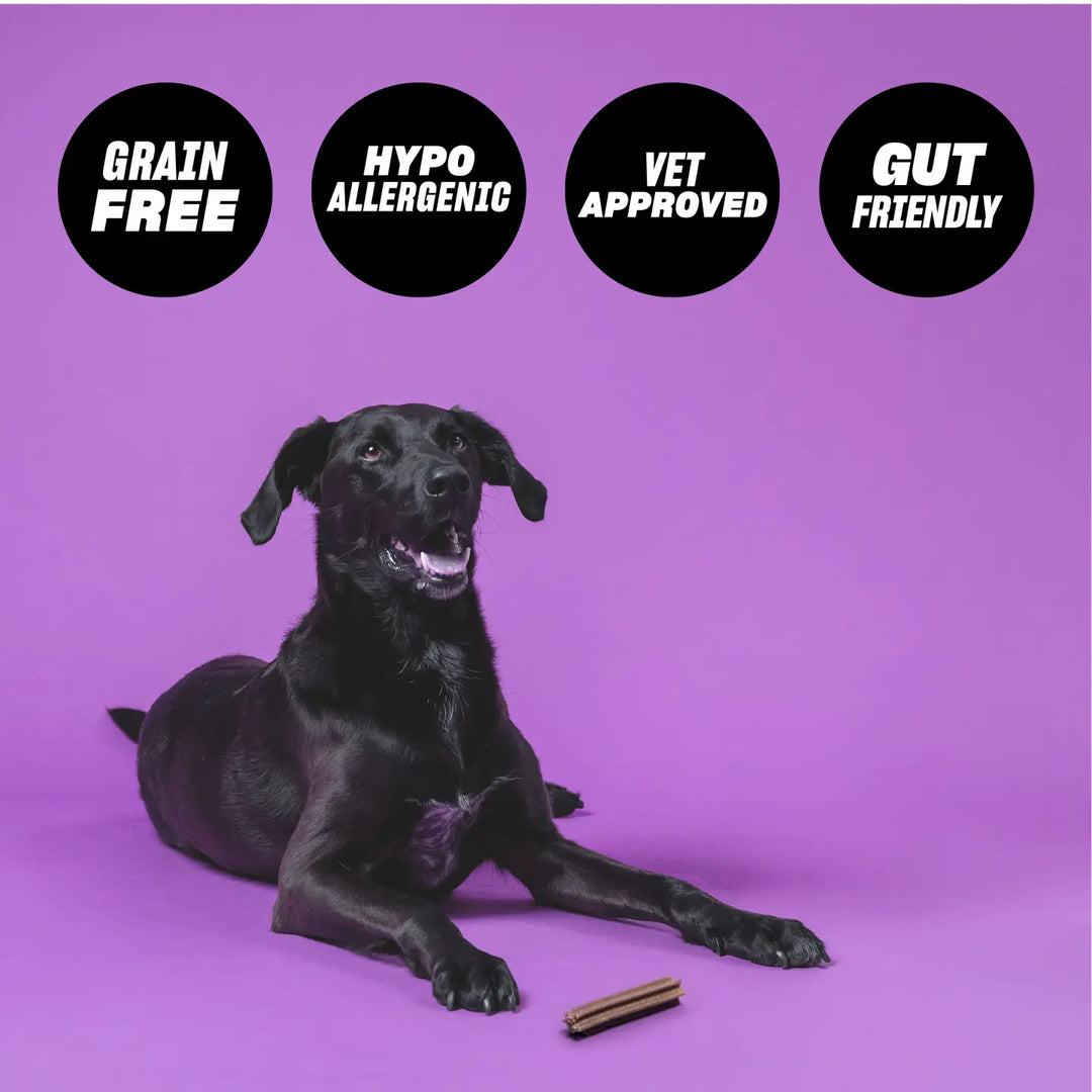Clean Teeth & Chill (Large) - Calming Dental Sticks