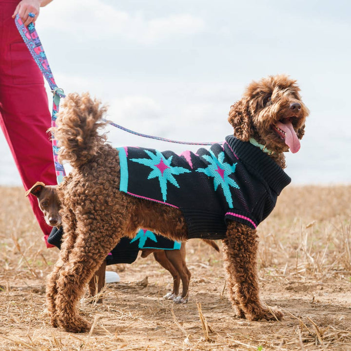 Starry Night Dog Jumper