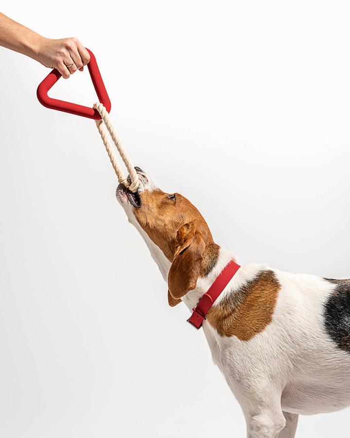 Wild One - Triangle Tug Dog Chew Toy: STANDARD