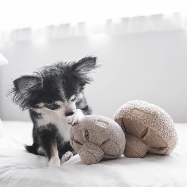 OAT NOSEWORK MUSHROOM ENRICHMENT DOG TOY: Small