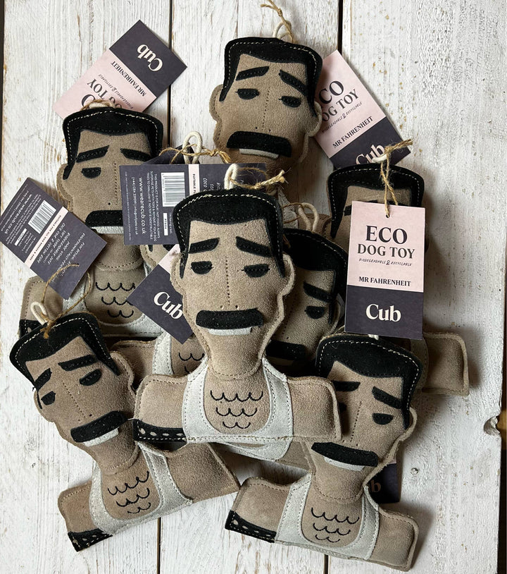 Cub - Mr Fahrenheit Eco Dog Toy (Limited Edition)