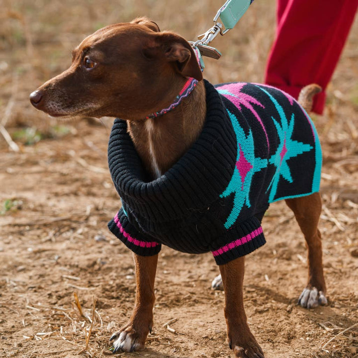 Starry Night Dog Jumper