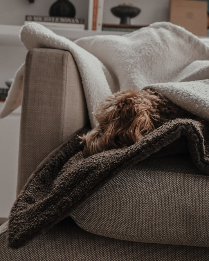 By Teddy - The Bouclé Blanket: Chocolate