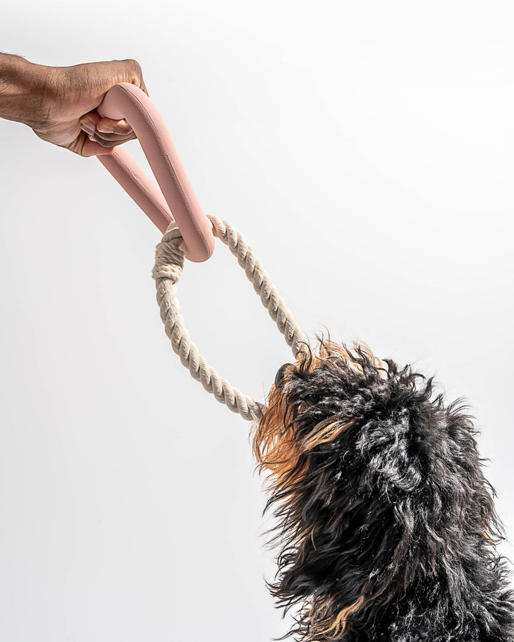 Wild One - Triangle Tug Dog Chew Toy: STANDARD