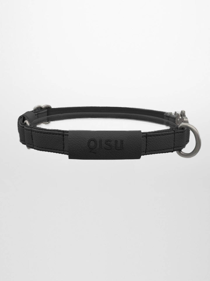 Qisu - Dog Collar | Air Collection: / Lagoon