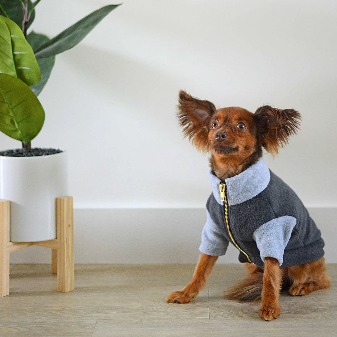 Rag & Paw Colour Block Fleece