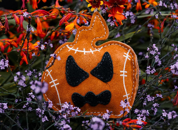 JACK THE LAD LANTERN Pumpkin shaped small breed Eco Dog Toy