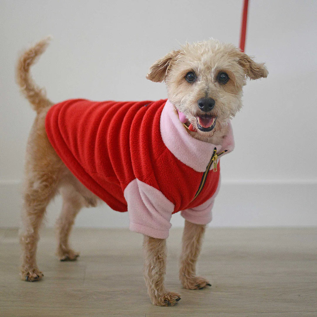 Rag & Paw Colour Block Fleece