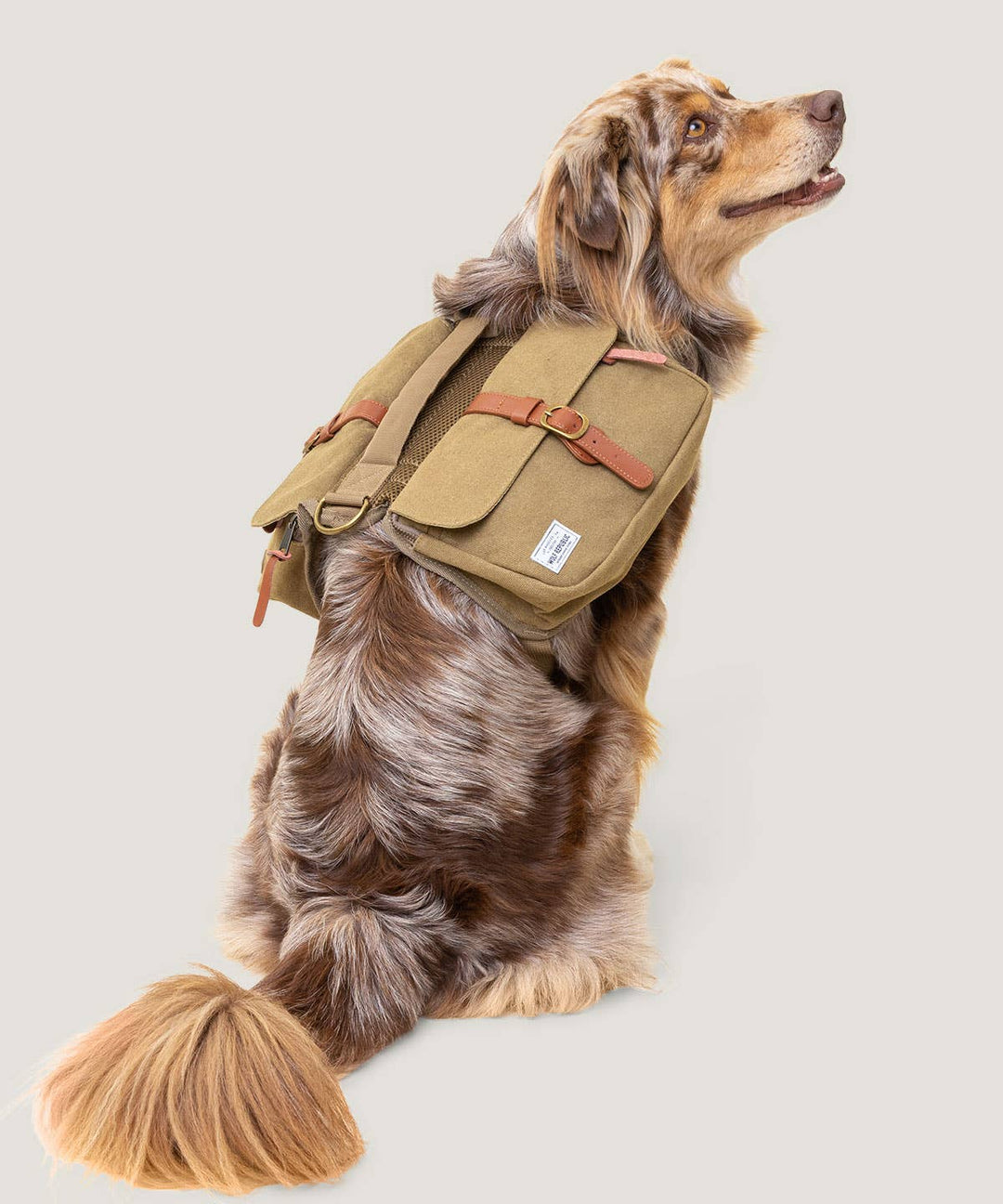 Wolf Republic - Ranger Pack