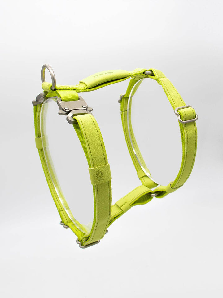 Qisu - Dog Harness | Air Collection: / Kiwi