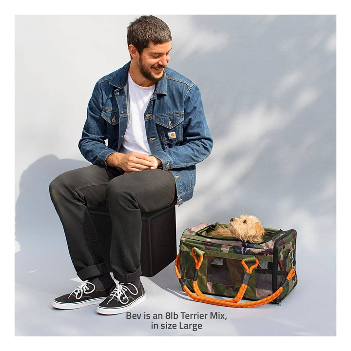 OUT-OF-OFFICE PET CARRIER