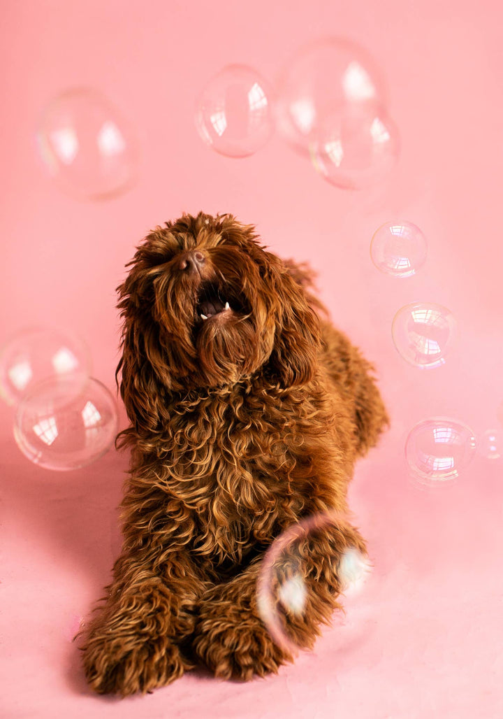 Meaty Bubbles - Smokey Bacon Bubbles