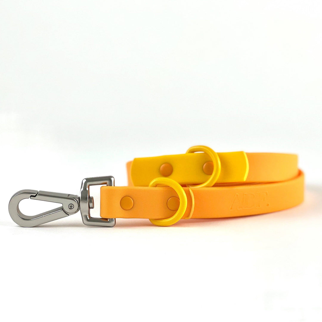 The Fritz Leash - Durable, Adjustable & Two-tone | Orange