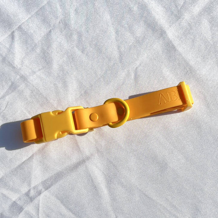 The Fritz Collar - Durable, Waterproof & Two-Tone | Orange
