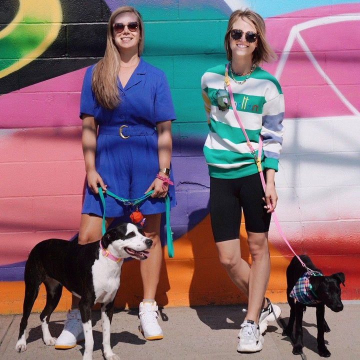 The Fritz Leash - Durable, Adjustable & Two-tone | Pink