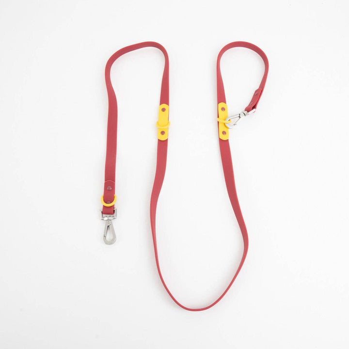Approved by Fritz - The Fritz Leash: Standard / burgundy sun