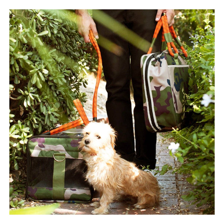 OUT-OF-OFFICE PET CARRIER