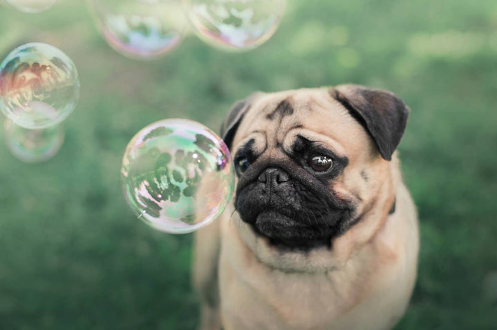 Meaty Bubbles - Smokey Bacon Bubbles