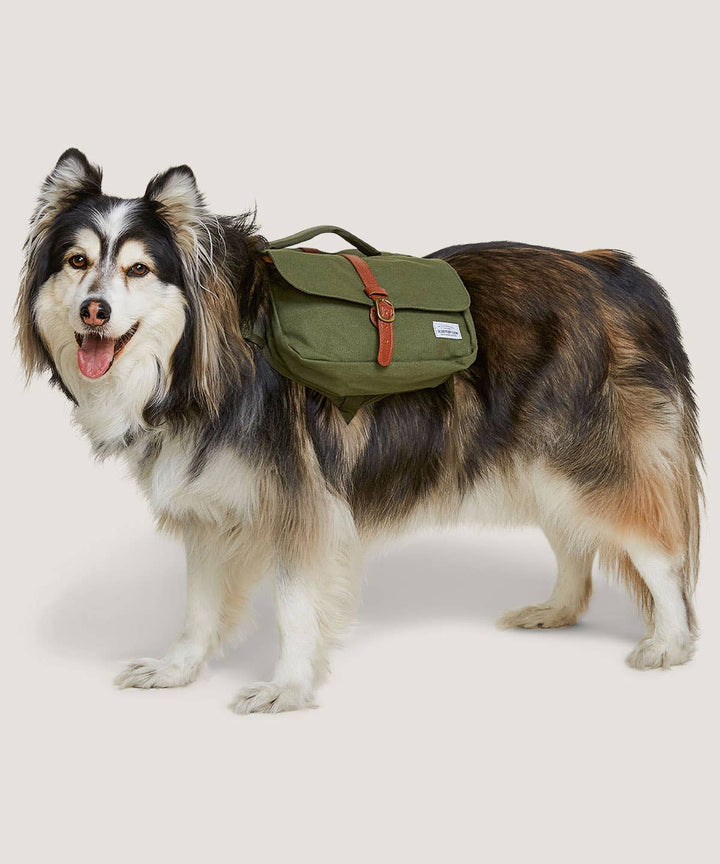 Wolf Republic - Ranger Pack