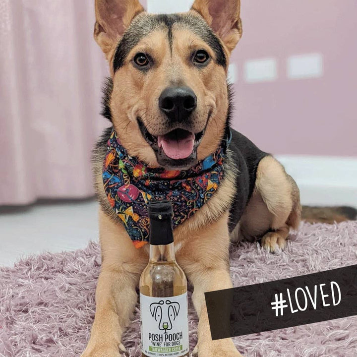 WOOF&BREW LTD - Woof&Brew Posh Pooch White Dog Wine